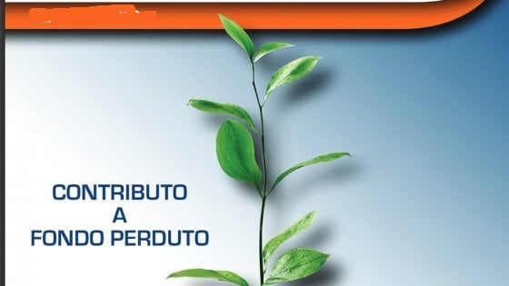 Fondo Perduto fondo perduto